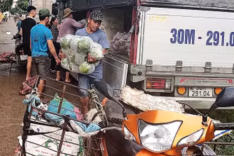 Anh Trung gom hàng để mang về chợ đầu mối.