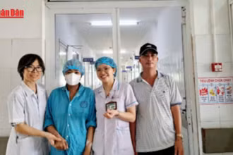 [Video] Bệnh viện Đà Nẵng thực hiện thành công ca ghép tế bào gốc tự thân cho bệnh nhân đa u tủy xương