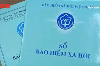 [Video] Ghi nhận thời gian chủ hộ kinh doanh đã đóng BHXH bắt buộc trước ngày 1/7/2025