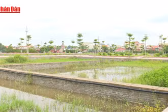[Video] Những trường hợp được cấp sổ đỏ mà không phải nộp tiền sử dụng đất 