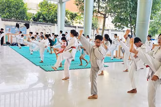 Võ thuật là môn học được nhiều em nhỏ lựa chọn tại các lớp năng khiếu hè.
