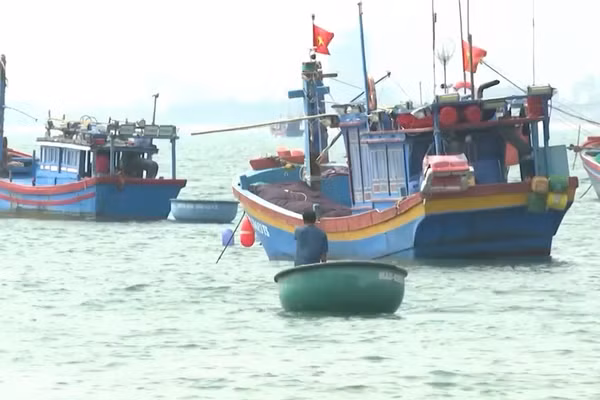 [Video] 13 tỉnh ven biển ứng phó gió giật cấp 9, sóng cao 4m