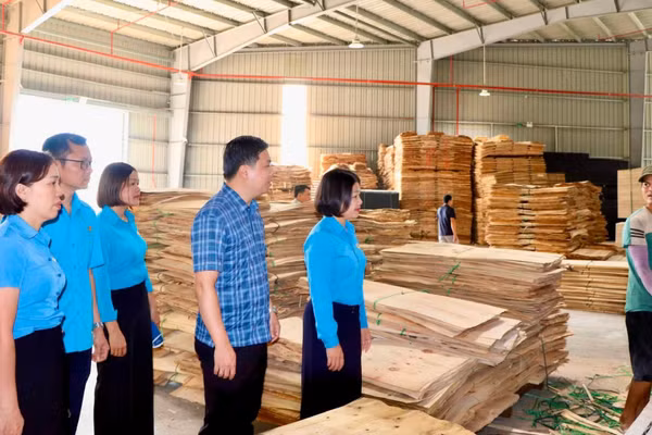 Liên đoàn Lao động tỉnh khảo sát, nắm tình hình tại Công ty TNHH Vietforest Bắc Kạn. (Ảnh: THU HUỆ).