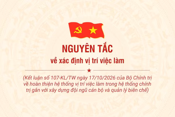 [Infographic] Nguyên tắc về xác định vị trí việc làm
