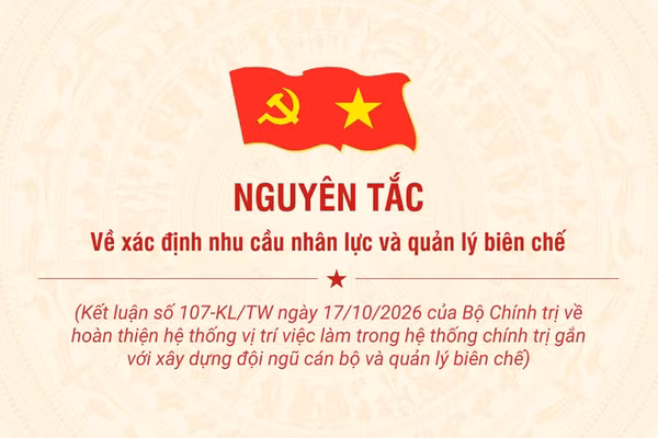 [Infographic] Nguyên tắc về xác định nhu cầu nhân lực và quản lý biên chế