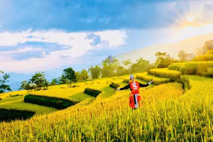 Hồng Thái - “nàng thơ vùng cao” và lựa chọn phía trước