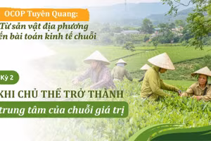 Khi chủ thể trở thành trung tâm của chuỗi giá trị
