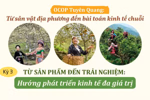 Từ sản phẩm đến trải nghiệm: Hướng phát triển kinh tế đa giá trị