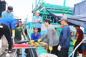 Ban Quản lý Cảng cá, Sở Nông nghiệp và Môi trường tỉnh Gia Lai quản lý chặt chẽ tàu, thuyền xuất - nhập bến.