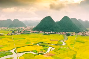 Ngắm mùa vàng giữa non xanh