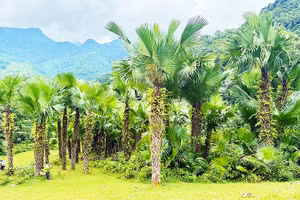Sống cân bằng ở Khun