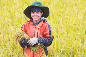 Nụ cười của người Vân Kiều ở Cu Vơ trước vụ mùa bội thu.