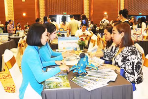 Du khách quốc tế tìm hiểu các tour du lịch của Gia Lai để tham gia trải nghiệm.