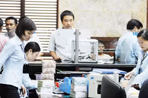 Các doanh nghiệp vừa và nhỏ vẫn gặp khó khăn trong tiếp cận tín dụng xanh. Ảnh: NGUYỆT ANH