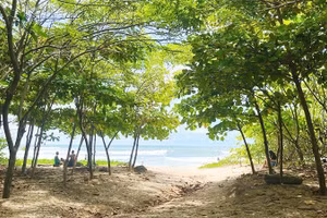 Bờ biển Playa Guiones được phủ bóng cây xanh. Ảnh: THE GUARDIAN