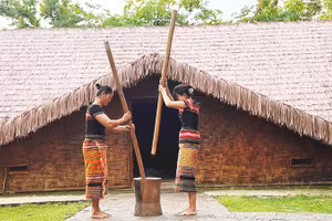 Biểu diễn giã gạo chày đôi tại Khu Bảo tồn văn hóa dân tộc S'tiêng xã Bom Bo.
