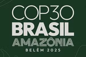 Ảnh https://cop30.br.