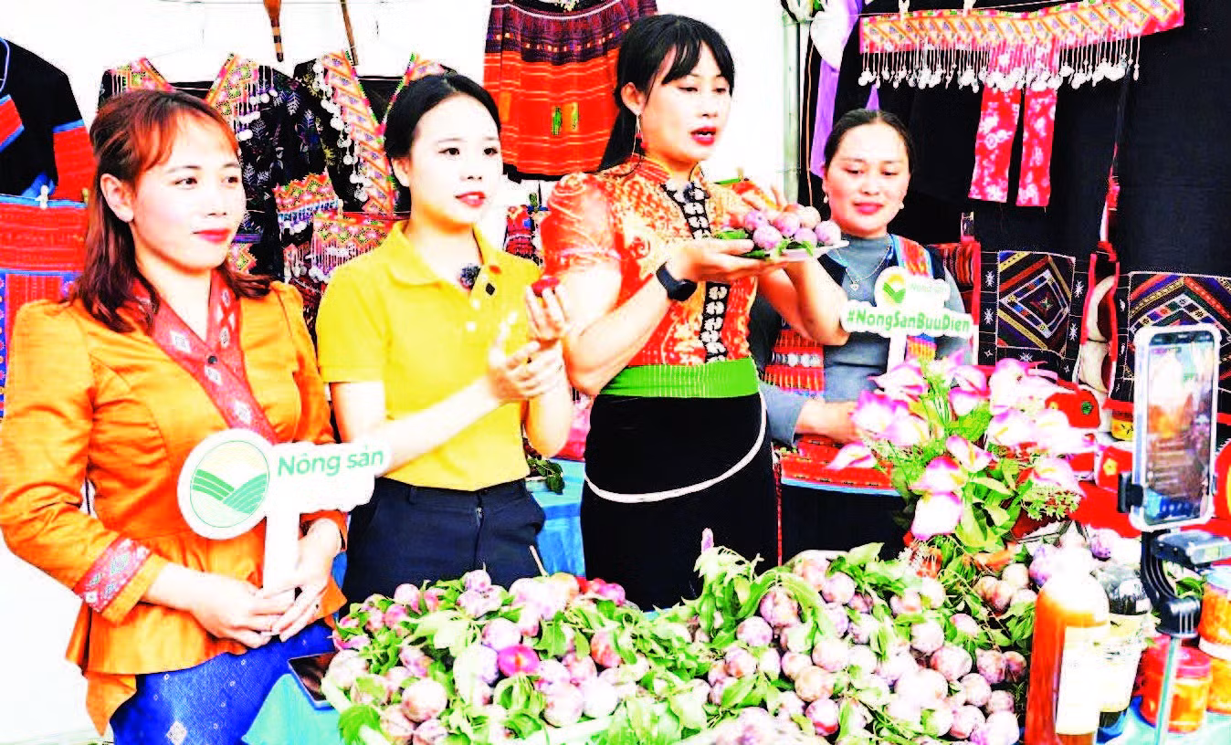 cac-ho-trong-man-phieng-khoai-livestream-gioi-thieu-ban-truc.jpg