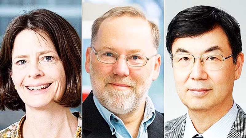 Các nhà khoa học đoạt Giải Nobel Y sinh 2025. Ảnh: GETTY IMAGES