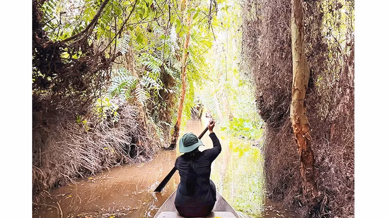 Ngồi xuồng ba lá luồn rừng thăm căn cứ lòng dân