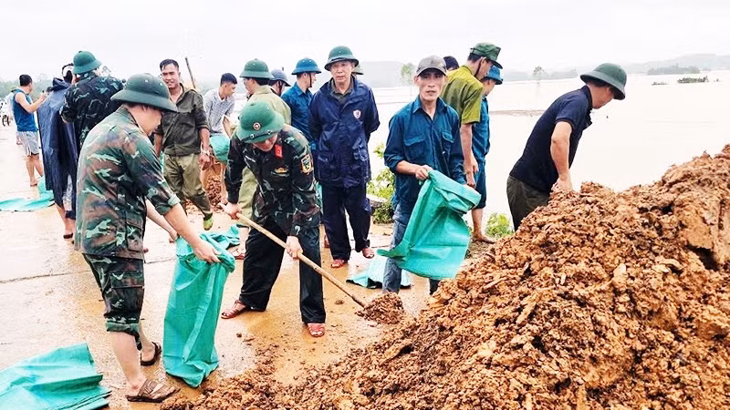 Lực lượng vũ trang tỉnh Thanh Hóa gia cố đê ở vùng trũng Hà Trung. 