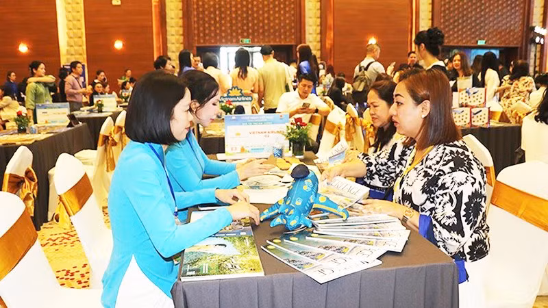 Du khách quốc tế tìm hiểu các tour du lịch của Gia Lai để tham gia trải nghiệm.