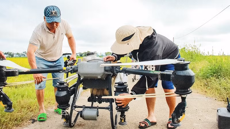 Ứng dụng thiết bị bay không người lái (flycam) trong sản xuất nông nghiệp giúp giảm sức lao động cho nông dân Ia Hiao. Ảnh: VŨ CHI