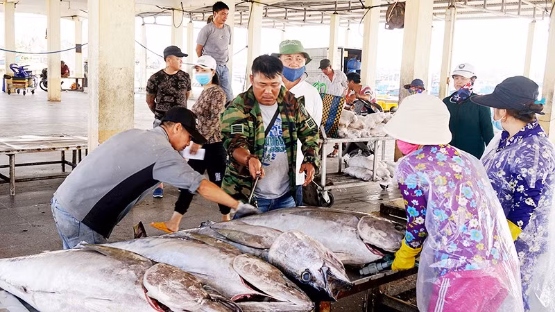 Tiếp tục giám sát và truy xuất nguồn gốc là yêu cầu quan trọng để nâng cao uy tín thủy sản Việt Nam. Ảnh: NGUYỆT ANH