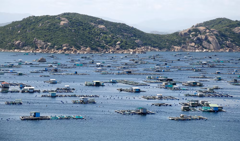 22-3vung-nuoi-thuy-hai-san-tai-dao-binh-ba-khanh-hoa.jpg