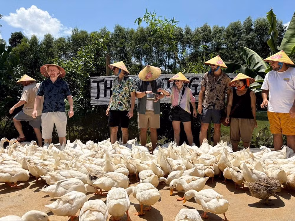 Bồng Lai, hương đồng gọi bước