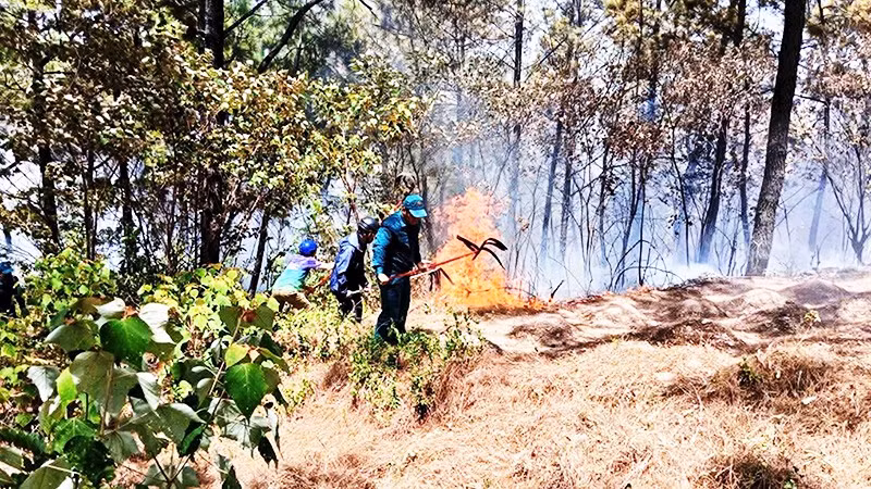 Lực lượng chức năng kịp thời phát hiện và dập tắt các đám cháy có nguy cơ lan rộng tại phường An Cựu.