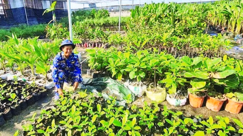 Những mầm non trên đất khát.