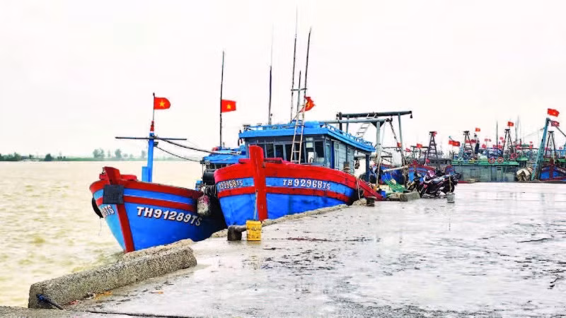 Cảng cá Hòa Lộc, xã Hoa Lộc.