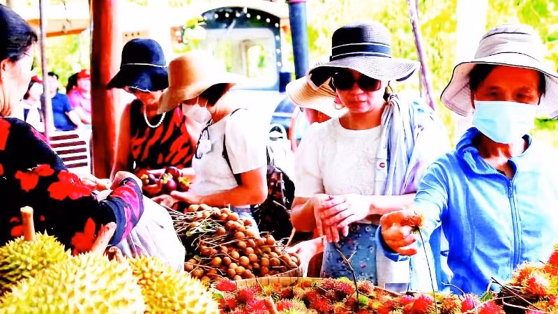 Khách du lịch mua trái cây tại Cần Thơ.