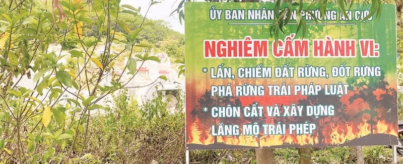 Huế tính đến việc phải xây dựng “khu tái định cư” cho lăng mộ để lấy quỹ đất phục vụ đầu tư phát triển.
