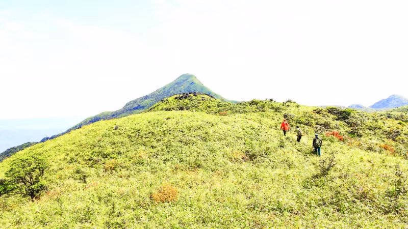 Chinh phục độ cao từ Pa Thiên lên đỉnh Voi Mẹp cao 1.700m.