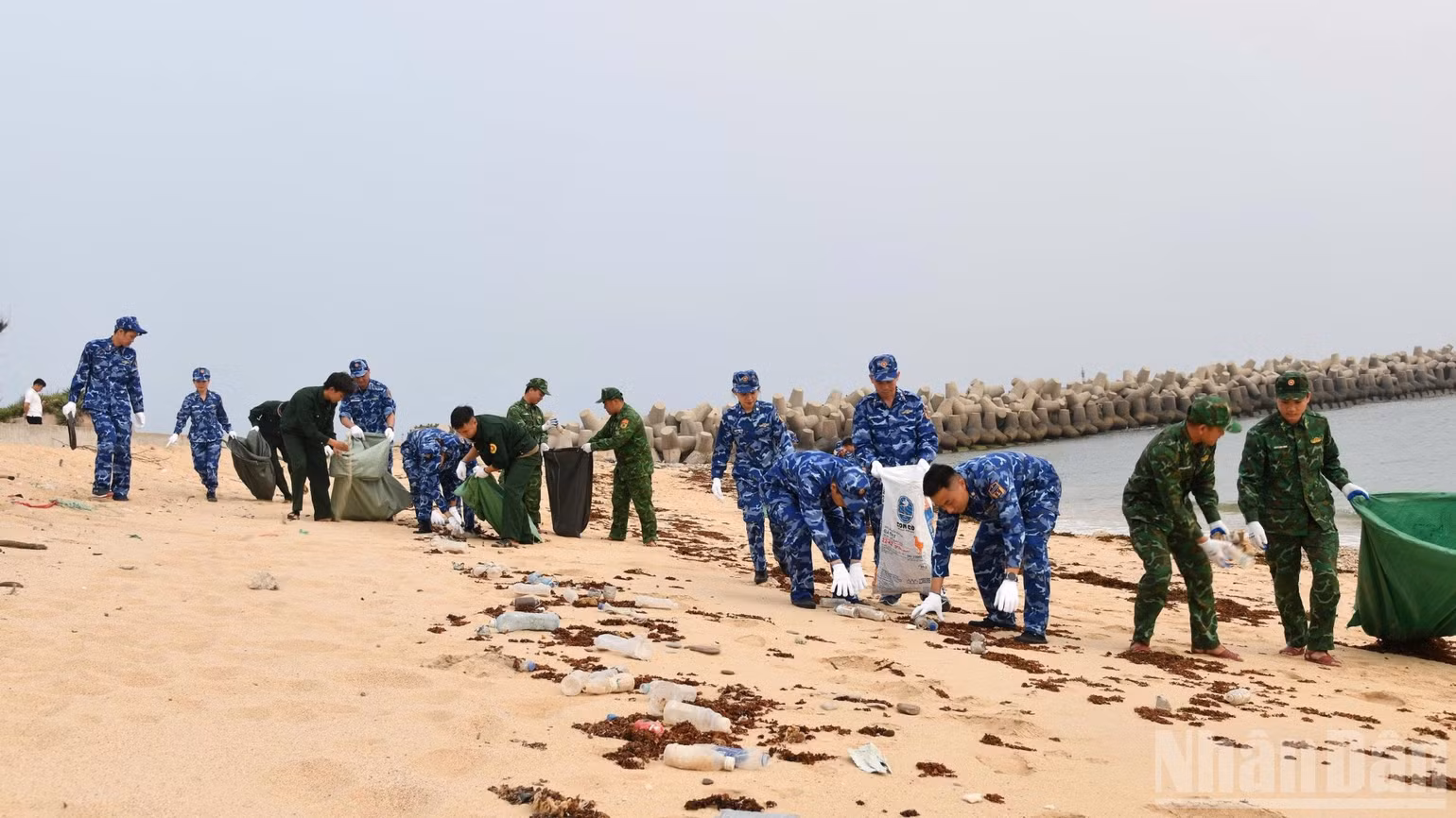 ndo_br_to-chuc-chuong-trinh-chung-tay-lam-sach-bien-quen-huong-va-tang-lien-doi-tnxp-bach-long-vi-vuon-cay-thanh-nien-tuan-4-thang-3-4-3894.jpg