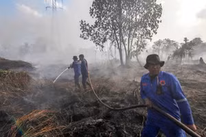 Lính cứu hỏa nỗ lực dập lửa cháy rừng tại Pekanbaru, tỉnh Riau, Indonesia trong mùa khô năm 2025. (Ảnh: THX/TTXVN)