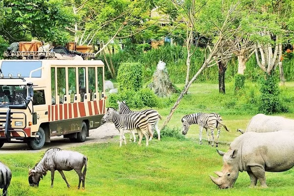 Khung cảnh trong Công viên FLC ZOO Safari. (Ảnh: Công ty Du lịch Việt)