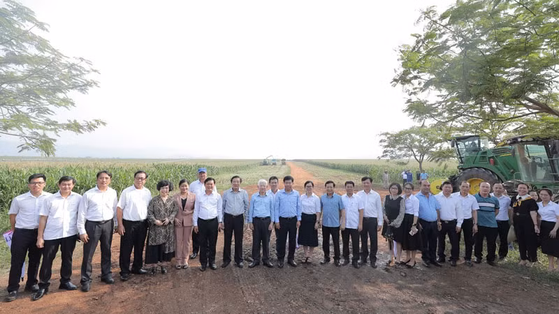 Đoàn công tác thăm những cánh đồng nguyên liệu ứng dụng công nghệ hiện đại của Cụm trang trại bò sữa TH. Đoàn công tác thăm những cánh đồng nguyên liệu ứng dụng công nghệ hiện đại của Cụm trang trại bò sữa TH.