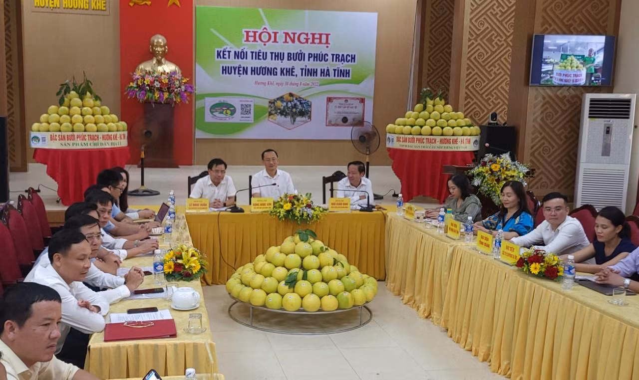 Hội nghị kết nối tiêu thụ bưởi được tổ chức trực tiếp tại Hương Khê và kết nối trực tuyến với nhiều tỉnh, thành phố trên toàn quốc.