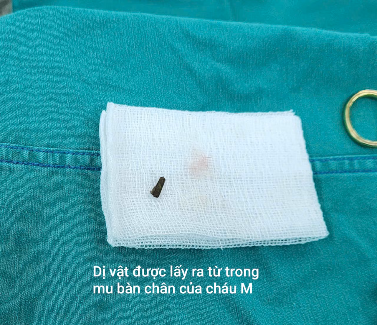 (Ảnh: BVCC)