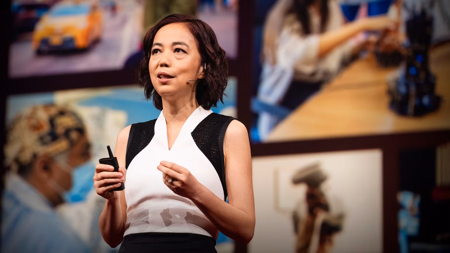 Giáo sư Fei-Fei Li.