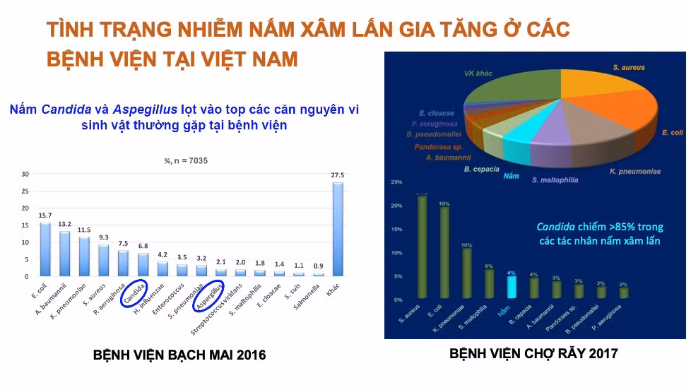 Tiến sĩ, bác sĩ Lê Quốc Hùng, Trưởng khoa Bệnh nhiệt đới, Bệnh viện Chợ Rẫy chia sẻ tình trạng nhiễm nấm xâm lấn gia tăng ở các bệnh viện tại Việt Nam.