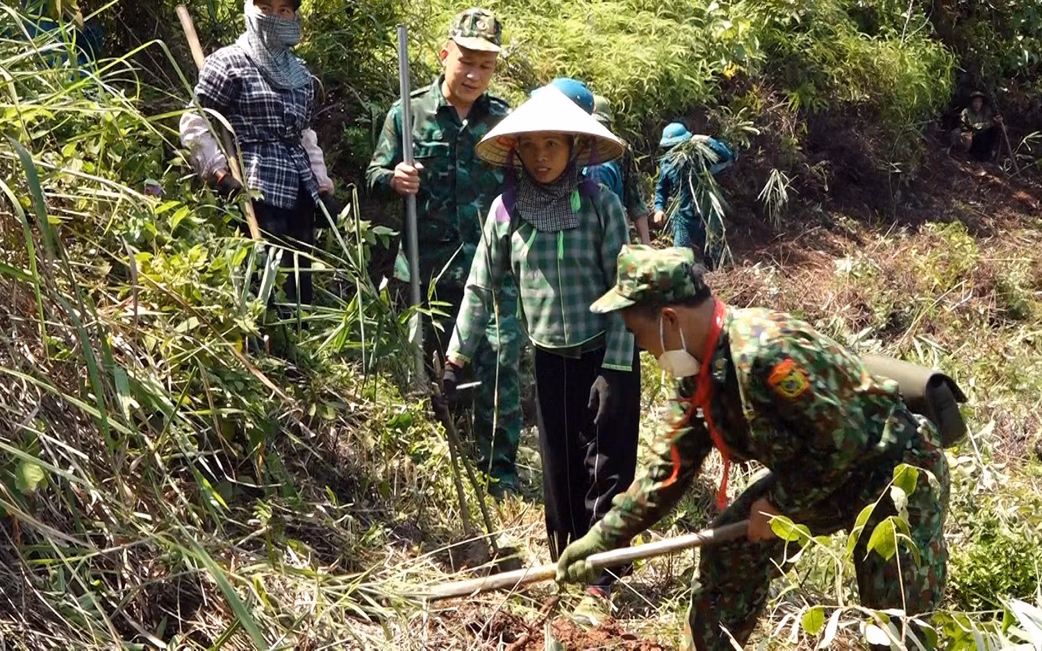 Cán bộ, chiến sĩ Đồn Biên phòng Ba Sơn (Cao Lộc, Lạng Sơn) hướng dẫn người dân xã Xuất Lễ trồng tre Bát độ ở khu vực đường biên giới.