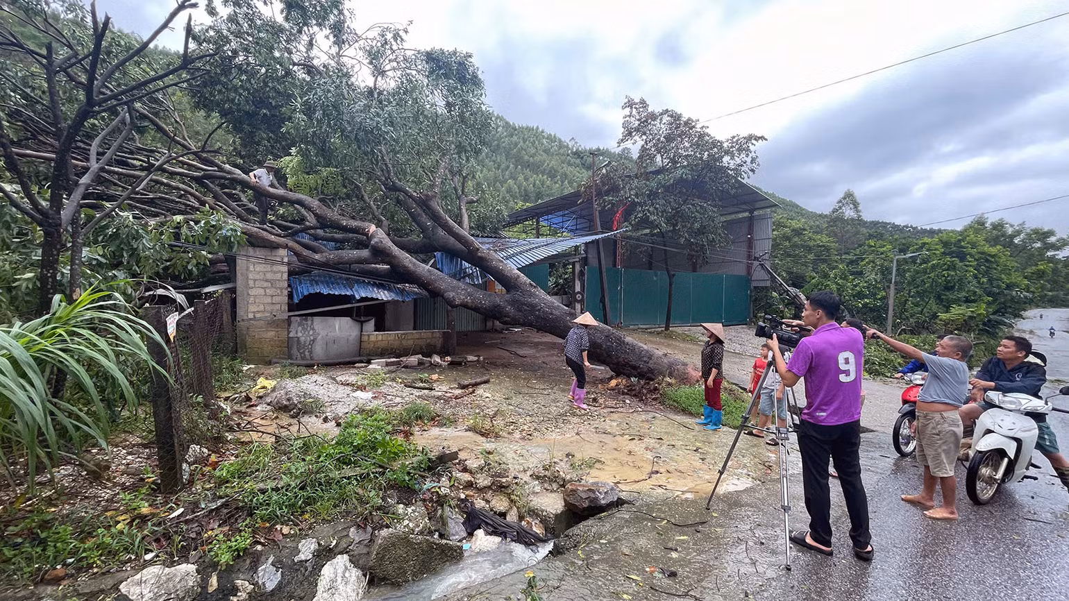 Cây đổ vào nhà dân tại huyện Sơn Dương, rất may không có thiệt hại về người.