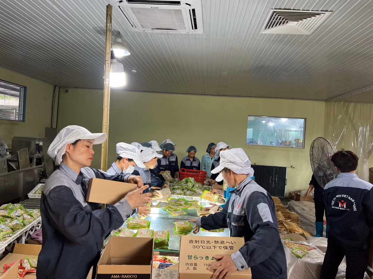 Chế biến nông sản xuất khẩu tại Công ty TNHH Việt Nam Misaki. Chế biến nông sản xuất khẩu tại Công ty TNHH Việt Nam Misaki.