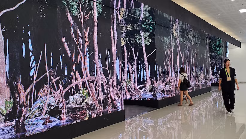 Không gian xanh Eco Valley, nơi bắt đầu của thành phố đổi mới sáng tạo Không gian xanh Eco Valley, nơi bắt đầu của thành phố đổi mới sáng tạo