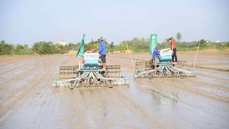 Máy móc hiện đại được đưa vào áp dụng tại đề án. Máy móc hiện đại được đưa vào áp dụng tại đề án.