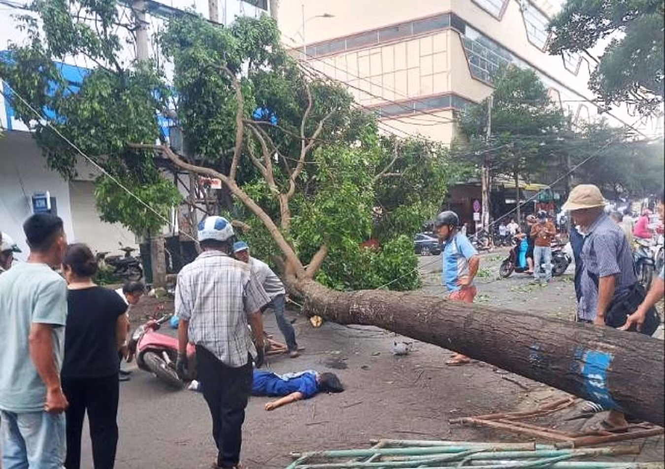 Cây bị bật gốc đổ ngã ra đường đè trúng người phụ nữ đi xe máy khiến người phụ nữ bị thương nặng, được người dân đưa vào bệnh viện cấp cứu trong tình trạng nguy kịch.